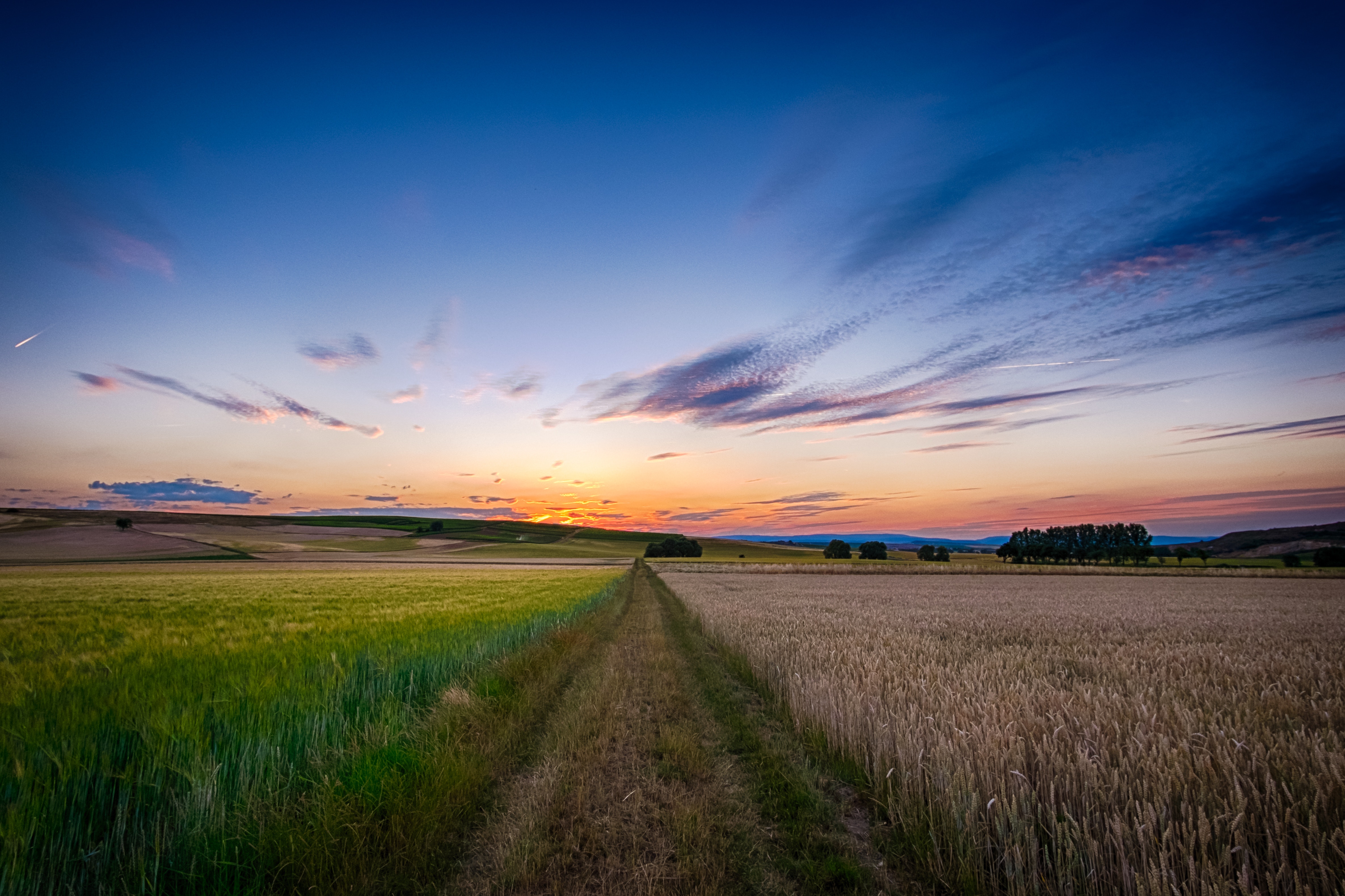 background climate agriculture image